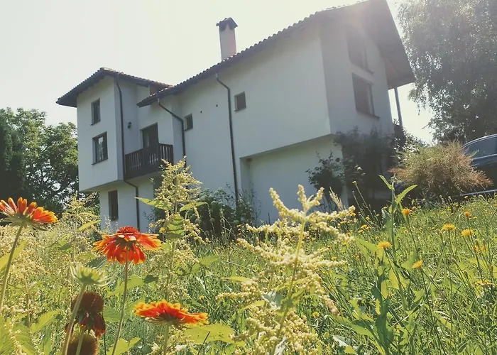 Guest House Ela