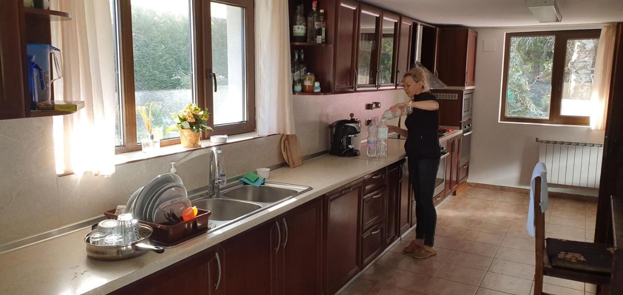 Ela Villa Dolna Banya